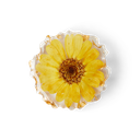 Uneven Daisy PopSocket