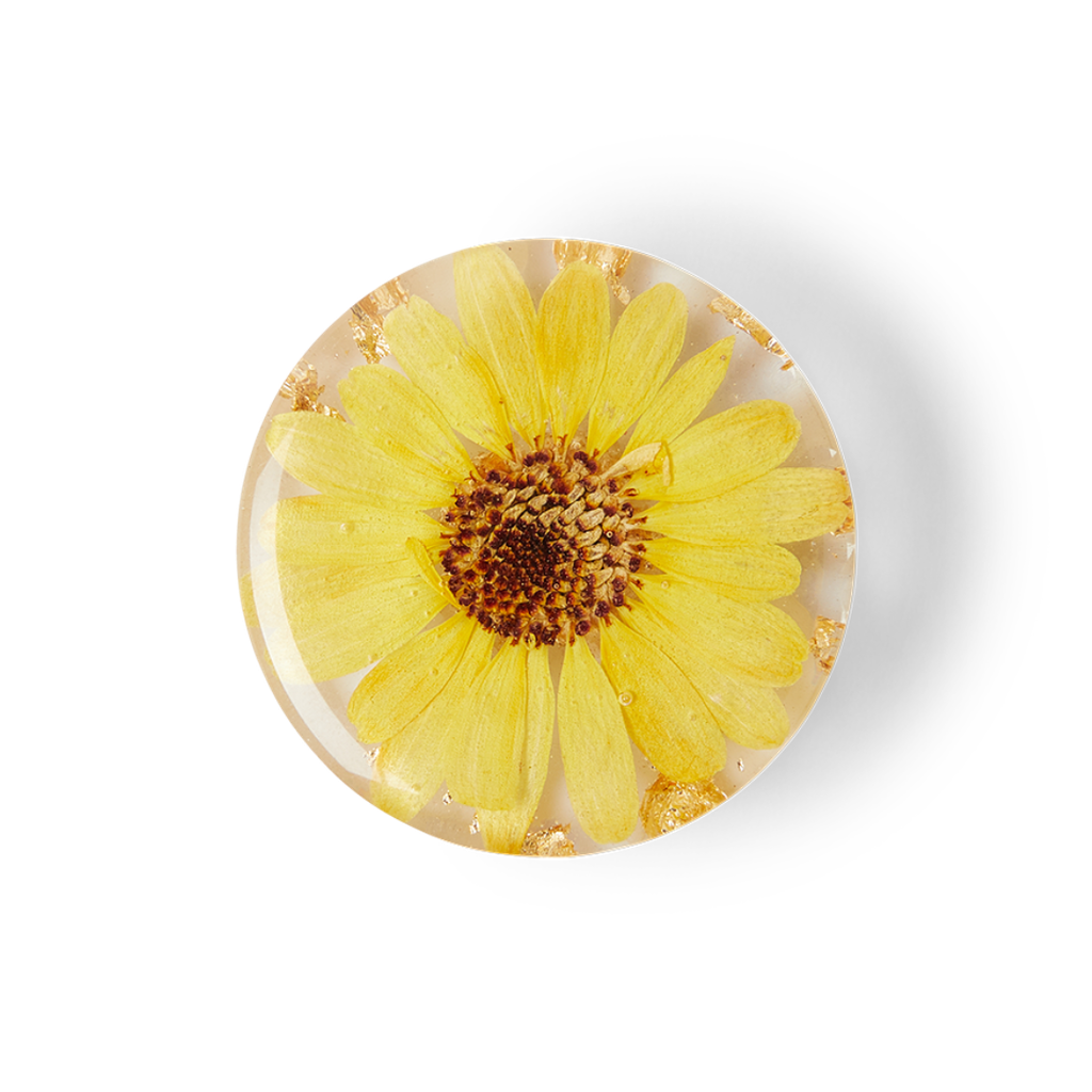 Circle Daisy PopSocket